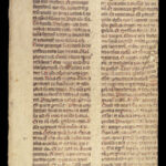 Handwritten Manuscript Leaves – Latin – 15th Century | Vellum Breviary or Missal Fragments