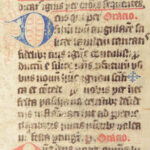 Handwritten Manuscript Leaves – Latin – 15th Century | Vellum Breviary or Missal Fragments