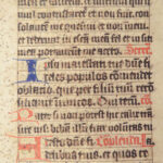 Handwritten Manuscript Leaves – Latin – 15th Century | Vellum Breviary or Missal Fragments