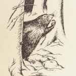 The Lion, the Witch and the Wardrobe – C.S. Lewis – 1950 | First UK Edition