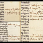 Lives of the Popes – Platina – 1518 | Venetian Fontaneto Post-Incunable