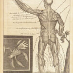 1698 Myographia Nova by John Browne | Muscles Casserio Anatomy Plates Medicine