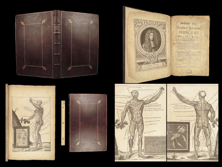 Image of 1698 Myographia Nova by John Browne | Muscles Casserio Anatomy Plates Medicine