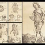 1698 Myographia Nova by John Browne | Muscles Casserio Anatomy Plates Medicine