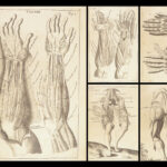 1698 Myographia Nova by John Browne | Muscles Casserio Anatomy Plates Medicine