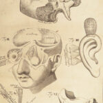 1698 Myographia Nova by John Browne | Muscles Casserio Anatomy Plates Medicine