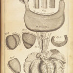 1698 Myographia Nova by John Browne | Muscles Casserio Anatomy Plates Medicine