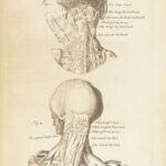 1698 Myographia Nova by John Browne | Muscles Casserio Anatomy Plates Medicine