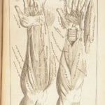 1698 Myographia Nova by John Browne | Muscles Casserio Anatomy Plates Medicine