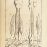 1698 Myographia Nova by John Browne | Muscles Casserio Anatomy Plates Medicine