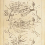 1698 Myographia Nova by John Browne | Muscles Casserio Anatomy Plates Medicine