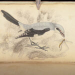 Naturalist’s Library. Birds of Great Britain & Ireland – Jardine – 1839 | 1st Ed., 32 Color Plates, Ornithology