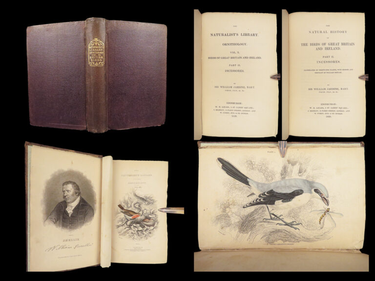 Image of Naturalist’s Library. Birds of Great Britain & Ireland – Jardine – 1839 | 1st Ed., 32 Color Plates, Ornithology
