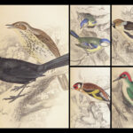 Naturalist’s Library. Birds of Great Britain & Ireland – Jardine – 1839 | 1st Ed., 32 Color Plates, Ornithology