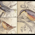 Naturalist’s Library. Birds of Great Britain & Ireland – Jardine – 1839 | 1st Ed., 32 Color Plates, Ornithology