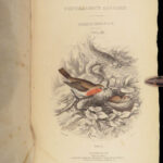 Naturalist’s Library. Birds of Great Britain & Ireland – Jardine – 1839 | 1st Ed., 32 Color Plates, Ornithology