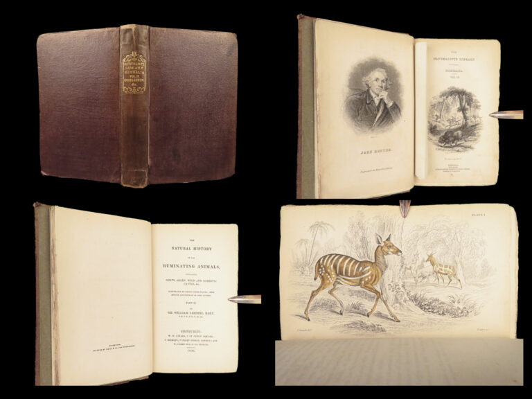 Image of The Naturalist’s Library – Jardine – 1836 | Ruminantia Vol. IV, Mammalia Part II