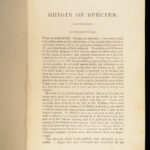 On the Origin of Species – Charles Darwin – 1881 | Appleton in Terra Cotta cloth