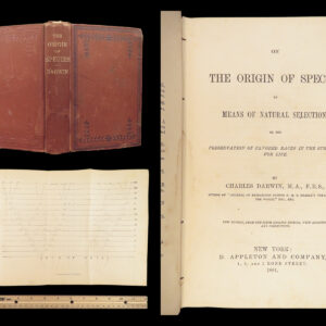 On the Origin of Species – Charles Darwin – 1881 | Appleton in Terra Cotta cloth