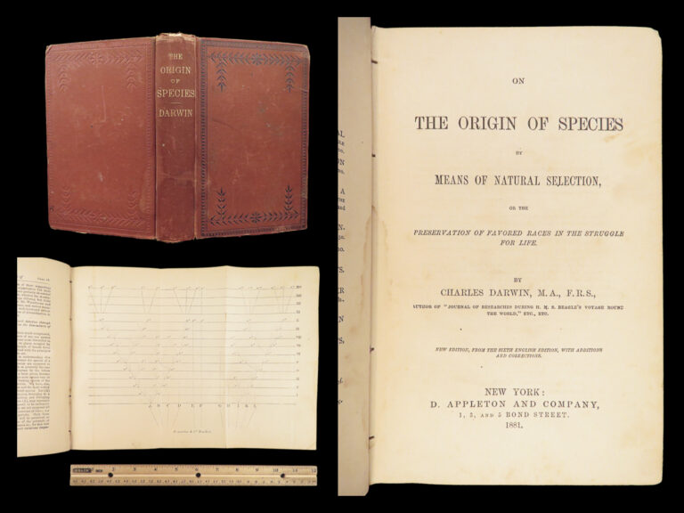 Image of On the Origin of Species – Charles Darwin – 1881 | Appleton in Terra Cotta cloth
