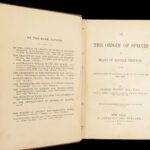 On the Origin of Species – Charles Darwin – 1881 | Appleton in Terra Cotta cloth