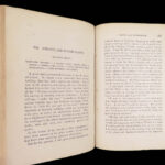 The Humbugs of the World – P.T. Barnum – 1866 | Occult, Witchcraft, Vampires