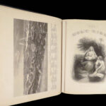 The Pictorial Home Bible – 1872 | Huge Illustrated Edition with Apocrypha