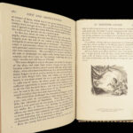 The Life and Surprising Adventures of Robinson Crusoe – Daniel Defoe – 1890 | Major’s Edition, Leather Binding, Gilt Edges