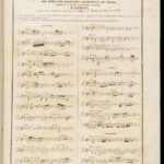 Ludwig van Beethoven Music | String Quartets | Violin Viola & Cello