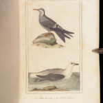 Voyage autour du monde – Lesson – 1839 | 1st Edition, 2 Vols, French Naval Exploration