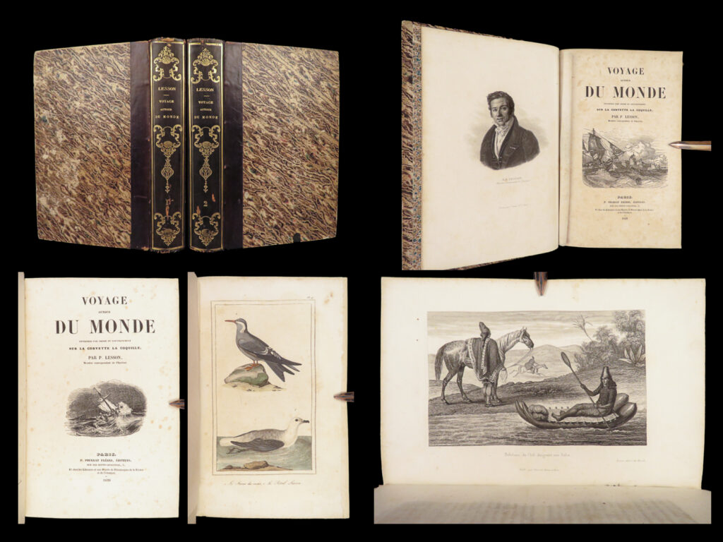 Voyage autour du monde – lesson – 1839 | 1st edition, 2 vols, french naval exploration | rare 1839 french first edition of voyage autour du monde sur la corvette la coquille by p. Lesson. Covers natural history, exploration, and cultures observed during the global expedition. Two volumes, original binding. Click the description & details tab below to learn more.