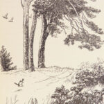 Winnie-the-Pooh – A.A. Milne – 1926 | First Edition, Original Cloth