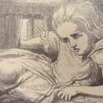 Alice’s Adventures in Wonderland – Lewis Carroll – 1871 | Tenniel Illustrated, 28th Thousand
