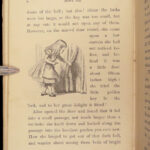 Alice’s Adventures in Wonderland – Lewis Carroll – 1869 | First American Edition, Original Binding