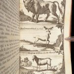 Les Commentaires de César – Julius Caesar – 1763 | Maps & Plates