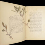 Cape Cod – Henry David Thoreau – 1896 | Illustrated by Amelia Watson, 2 Vol Set