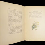 Cape Cod – Henry David Thoreau – 1896 | Illustrated by Amelia Watson, 2 Vol Set