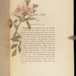 Cape Cod – Henry David Thoreau – 1896 | Illustrated by Amelia Watson, 2 Vol Set