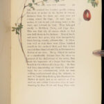 Cape Cod – Henry David Thoreau – 1896 | Illustrated by Amelia Watson, 2 Vol Set