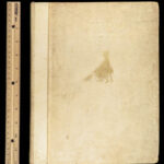 Cinderella – Arthur Rackham – 1919 | Signed, Deluxe First Edition