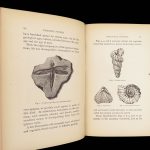 Diamonds and Precious Stones – Louis Dieulafait – 1874 | Engravings, Decorative Cloth