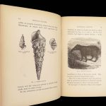 Diamonds and Precious Stones – Louis Dieulafait – 1874 | Engravings, Decorative Cloth