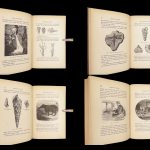 Diamonds and Precious Stones – Louis Dieulafait – 1874 | Engravings, Decorative Cloth