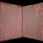 1851 Diary & Correspondence of Samuel Pepys | Beautiful Moroccan Leather 5v SET