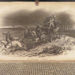 1848 Charles Dickens – Dombey & Son | 1st edition,  English Literature