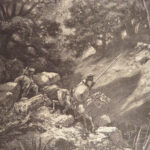The History of Don Quixote – Miguel de Cervantes – 1870 | Doré Plates, Leather