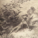 The History of Don Quixote – Miguel de Cervantes – 1870 | Doré Plates, Leather