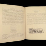 The History of Don Quixote – Miguel de Cervantes – 1870 | Doré Plates, Leather