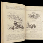 Don Quixote – Jarvis Translation – c.1870 | Johannot Art, 700+ Illustrations