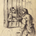 Don Quixote – Jarvis Translation – c.1870 | Johannot Art, 700+ Illustrations